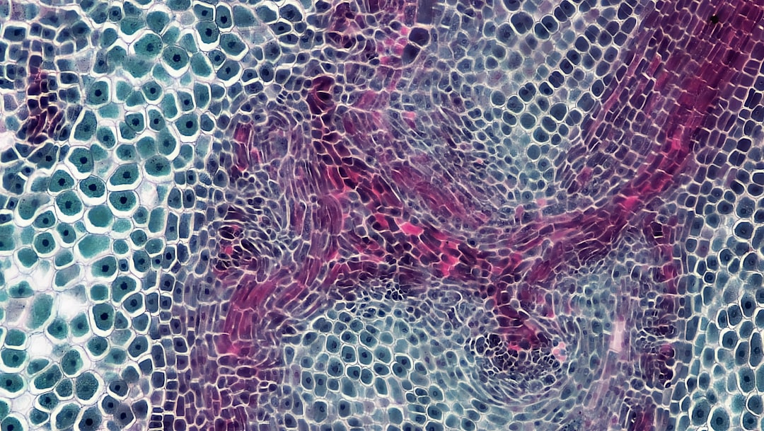 Photo Tissue engineering