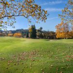 Photo DNA processing