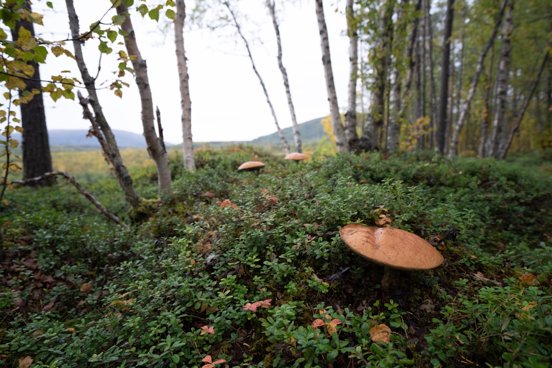 Photo Local biodiversity protection